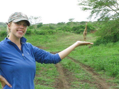 giraffe